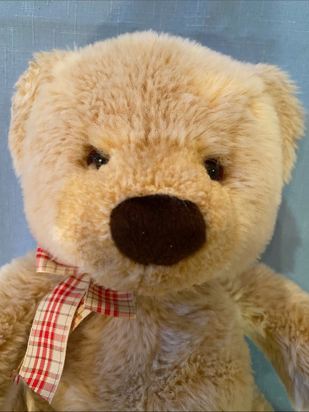Gund Teddy Bear - Picture 7 of 7